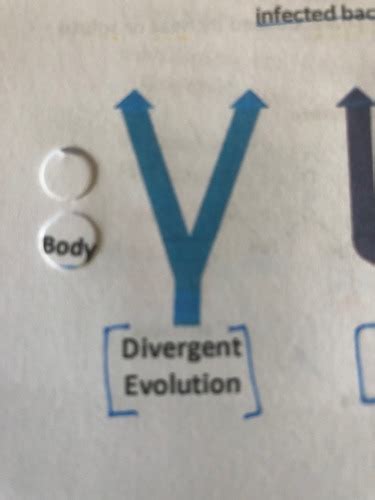 MCAT Biology Chapter 12 Flashcards | Quizlet 
