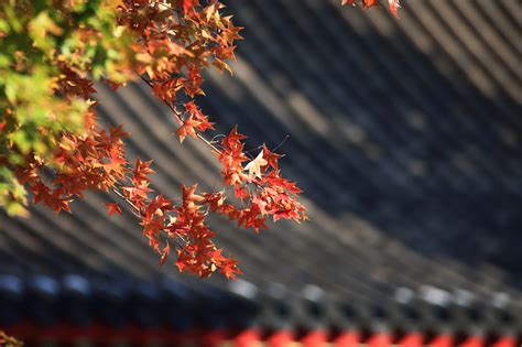 Keap software updates are helping small businesses grow faster 12