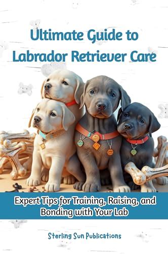 Ultimate Guide To Labrador Retriever Care Expert Tips For Training