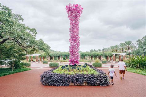 Top Activities in New Orleans for Kids