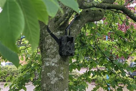 4G Outdoor Camouflage Camera | Outdoor Spy Cameras