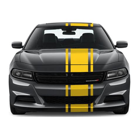 Racing Stripes w/Pins [3x] 2 , 14, 2 x 74 - Vinyl Decals - Fits All Vehicles - Walmart.com