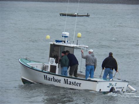 Harbor Master Free Stock Photo - Public Domain Pictures
