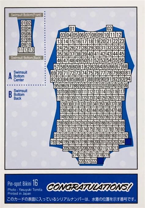 Hit S Umi Shinonome Trading Card Vol Pin Spot Bikini Card Japanese Idol Ebay