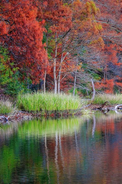 Beavers Bend Fall Foliage Photograph by Robert Bellomy - Fine Art America