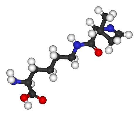 Amino Acid PNG Transparent Images