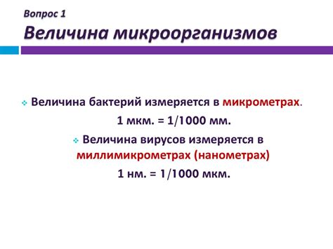 Морфология микроорганизмов. Лекция 2 - презентация онлайн