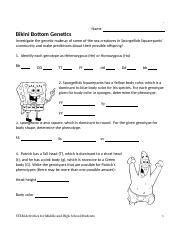 Genetics Sponge Bob Word Docx Name Bikini Bottom Genetics Investigate The Genetic Makeup Of