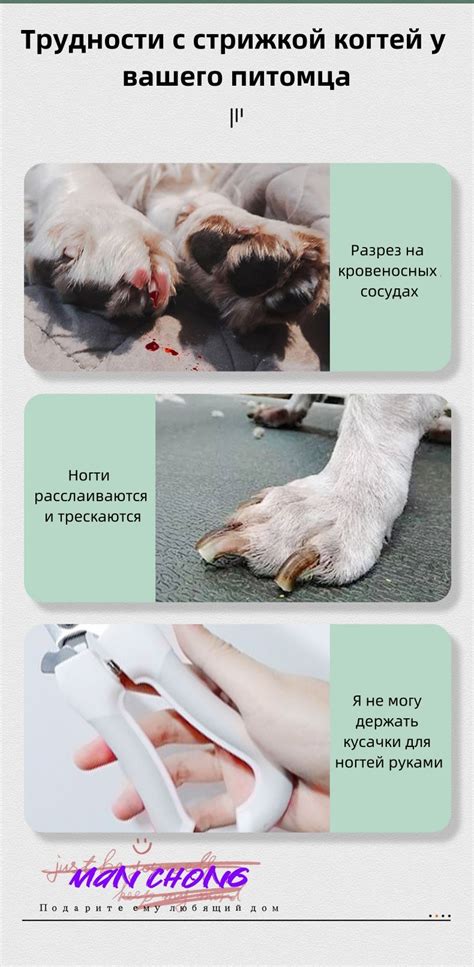 Кусачки для когтей, которые могут использовать кошки и собаки любого ...