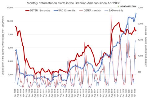 Indepedent watchdog confirms rampant deforestation in the Amazon