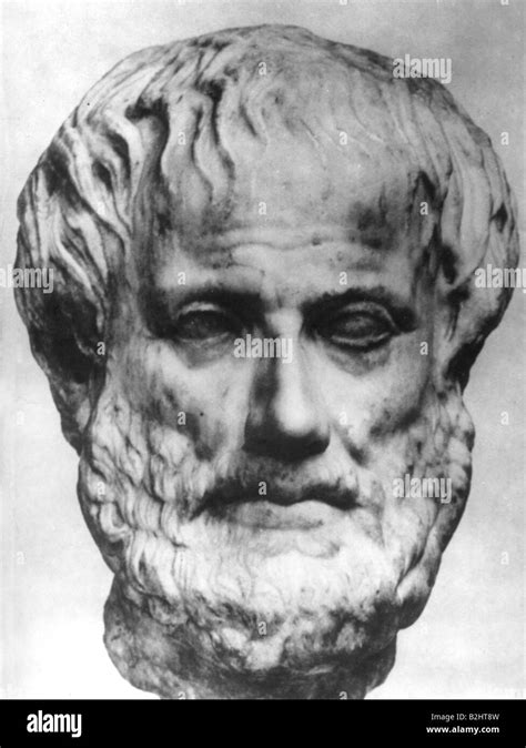 Aristotle, 384 - 322 Bc, Greek Philosopher, Portrait, Bust, Copy Of ...