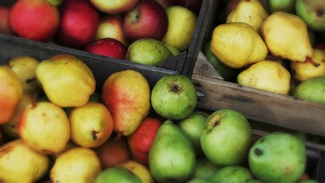 Pears: History, varieties, nutrition & recipes — Westridge Fruit ...