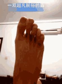 Funny Fuck You GIFs Tenor