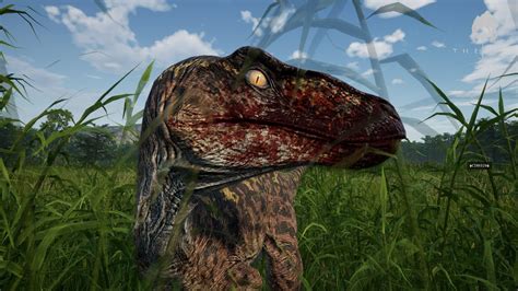 Utahraptor Packs Some Are Cool Af Some Will Try And Kill You The