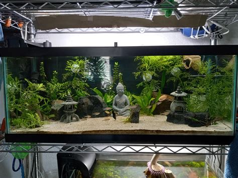 Average Salary and Employee Compensation at PetSmart Inc 25