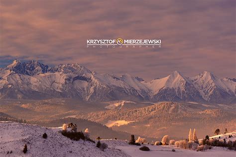 Fotografia Krzysztof Mierzejewski Iceflower Nowości Zdjęcia Tatr