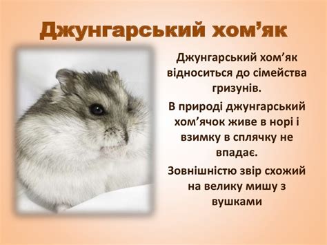 Мій хом’ячок - презентация онлайн
