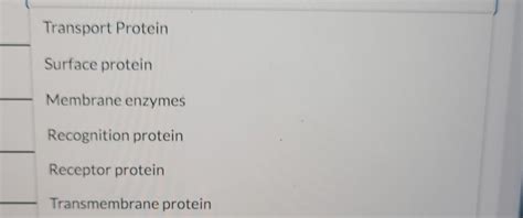 Solved Proteins that are found on the inner or outer surface | Chegg.com