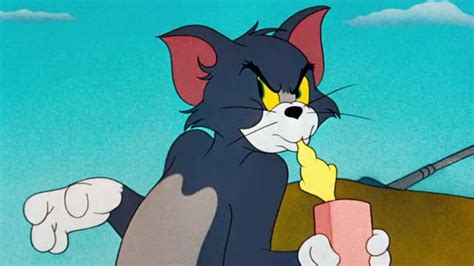 Watch Tom And Jerry Theatricals S01 E07 The Cat Above And The Mouse