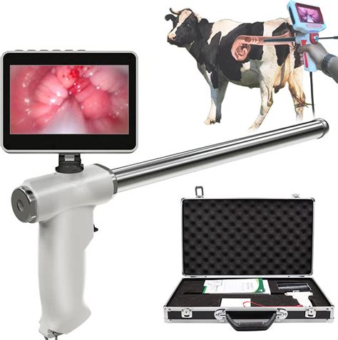 Artificial Insemination Gun Instrument Cow Visual