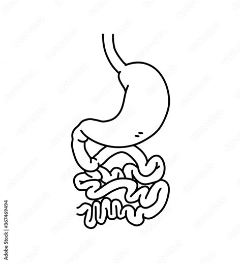 Vecteur Stock Stomach And Intestines Doodle Hand Drawn Vector