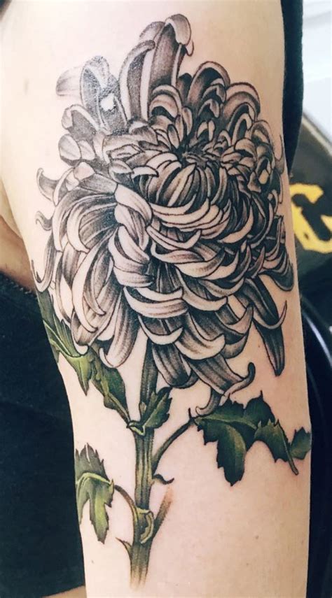 115 Stunning Chrysanthemum Tattoos Ideas Meanings Tattoo Me Now