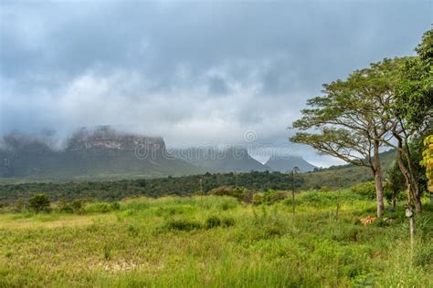 National Park Chapada Diamantina, Brazil Stock Image - Image of forest ...