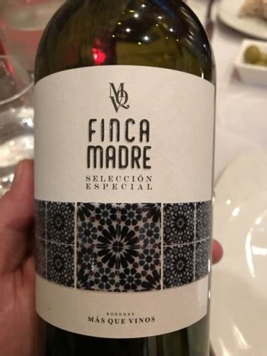 Más Que Vinos Finca Madre Selección Especial Vivino US