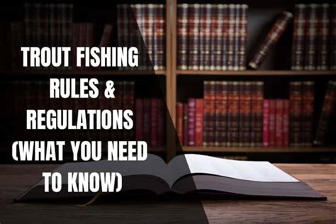 Trout Fishing Rules And Regulations (What You Need To Know) - Begin To Fish