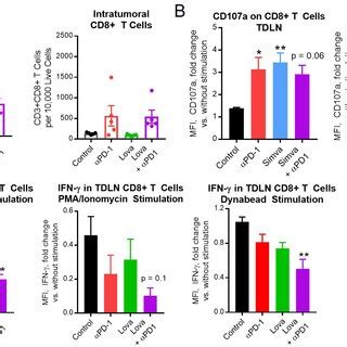 Simvastatin And Lovastatin Enhanced T Cell Activation Within The Tumor