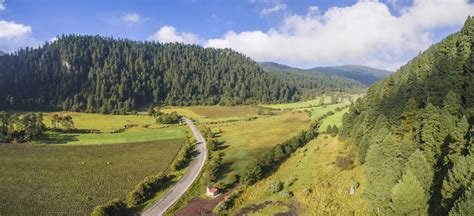 Cumbres del Ajusco National Park