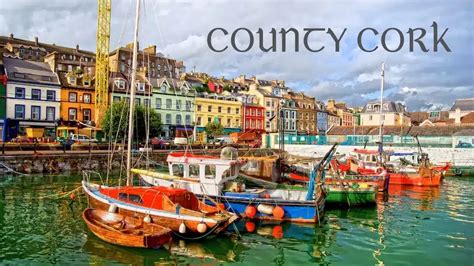 Do You Have a County Cork Ancestor? - A Letter from Ireland