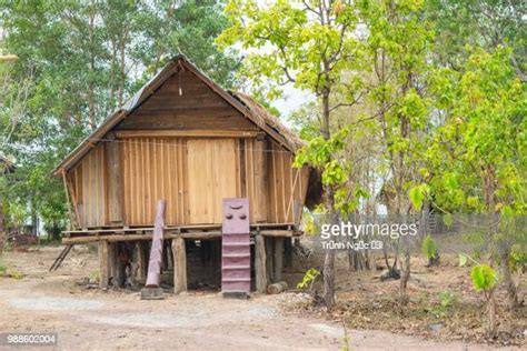 109 Paleolithic House Stock Photos, High-Res Pictures, and Images ...