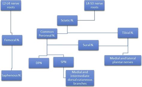 Icd Cm Code For Nerve Block On Left Foot