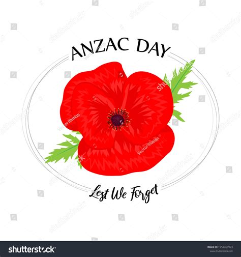 Vector Illustration Concept Anzac Day Poppy Stock Vector (Royalty Free) 1953269923 | Shutterstock