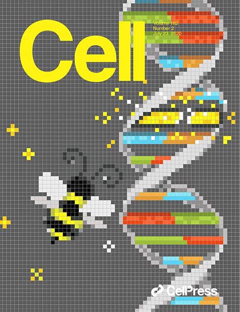 科学与艺术的结合！《cell》100张期刊封面鉴赏｜2020年篇 知乎