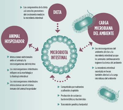 Microbioma Y Microbiota