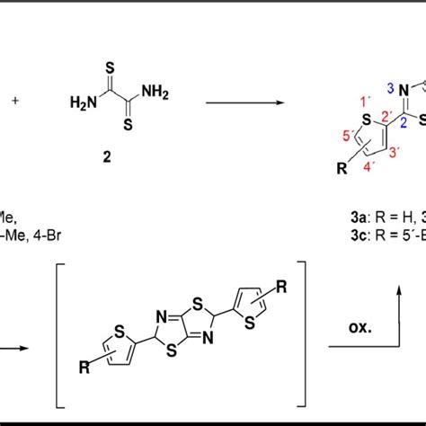 General Structure Of Thiophene Substituted Thiazolo 5 4 D Thiazoles