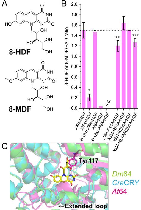 8 HDF Uptake In Xenopus And Arabidopsis 6 4 PLs A Chemical Structures