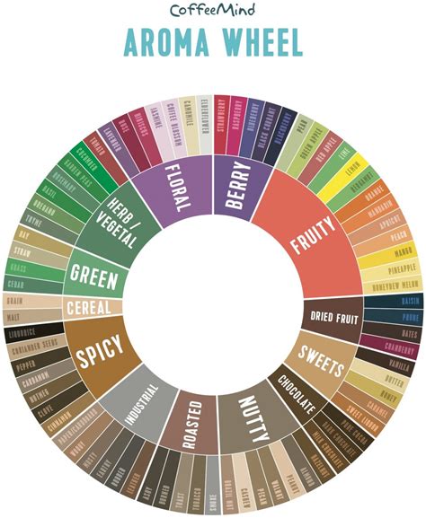 How do you learn flavours and aromas? - Blog Coffeedesk.com