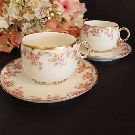 Antique Limoges France Elite Works Bridal Wreath Tea Cup And Saucer St