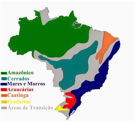 Dom Nios Morfoclim Ticos Do Brasil Infoenem