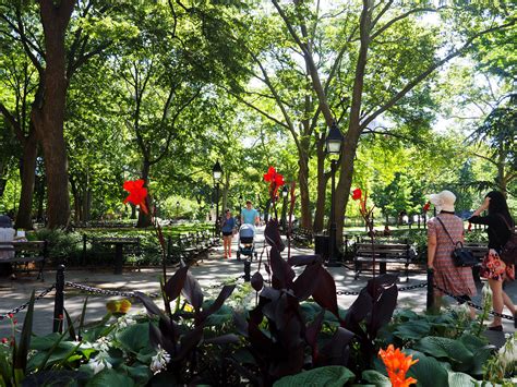 Plaza - Washington Square Park