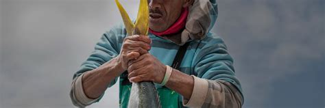 innovation  finance video series catalyst fund