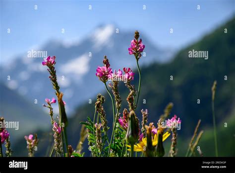 La Meije Des Col Du Lautaret Hi Res Stock Photography And Images Alamy