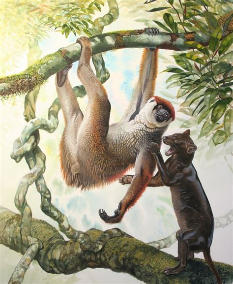 Sloth Lemur and Giant Fossa by Peter Schouten | Extinct animals ...