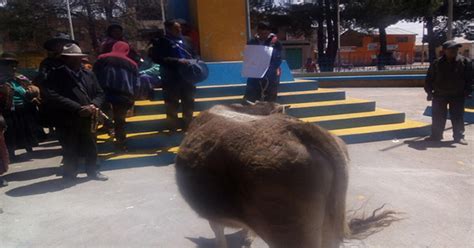 Puno Pasean Por Plaza A Presunto Abigeo Con Letrero Soy Ratero