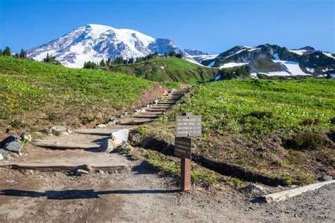 Skyline Trail Loop & Panorama Point, Mount Rainier National Park ...