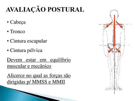 Avalia O Postural Ppt Carregar