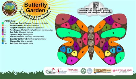 Perennial Butterfly Garden Layout